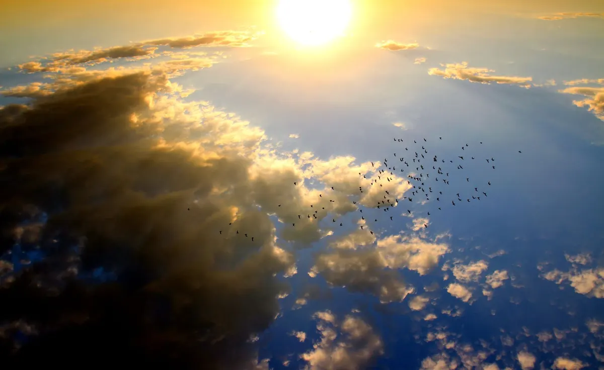 How to Migrate Your Small Business to the Cloud Without Downtime